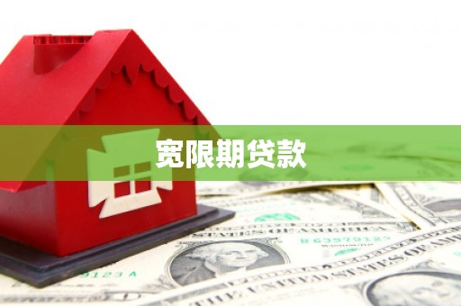 达仁宽限期贷款