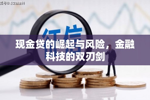 宁县现金贷的崛起与风险，金融科技的双刃剑