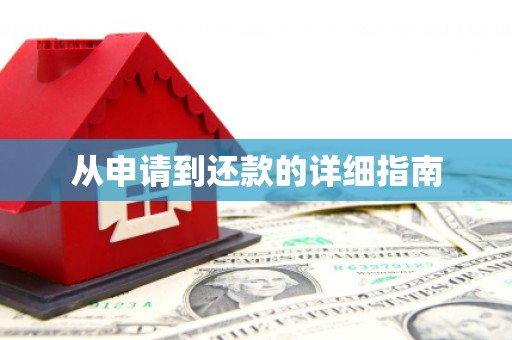 桃城从申请到还款的详细指南
