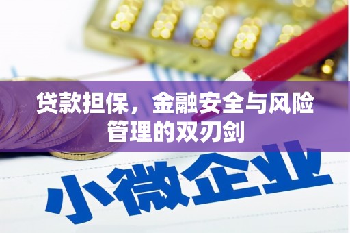 甘谷贷款担保，金融安全与风险管理的双刃剑