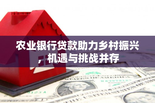 独山农业银行贷款助力乡村振兴，机遇与挑战并存