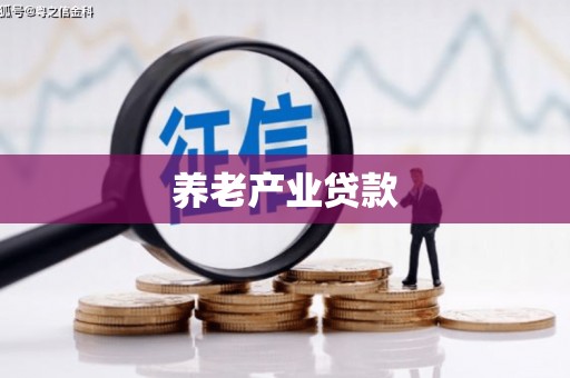 湖西养老产业贷款