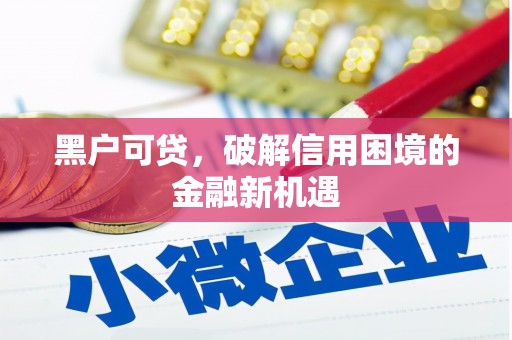 富裕黑户可贷，破解信用困境的金融新机遇