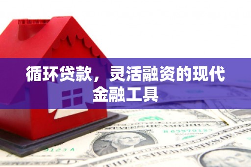 喜德循环贷款，灵活融资的现代金融工具