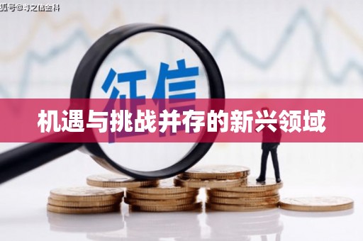 咸丰机遇与挑战并存的新兴领域