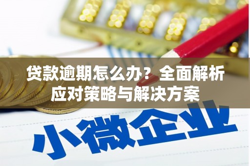 朔城贷款逾期怎么办？全面解析应对策略与解决方案