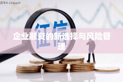 宝兴企业融资的新选择与风险管理