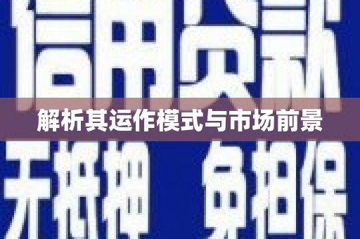 乐东解析其运作模式与市场前景