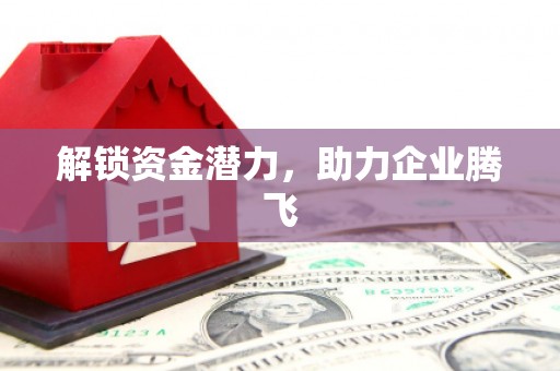 启东解锁资金潜力，助力企业腾飞