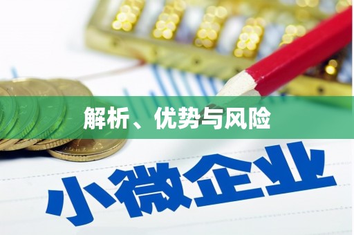 南阳解析、优势与风险