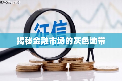 宁乡揭秘金融市场的灰色地带