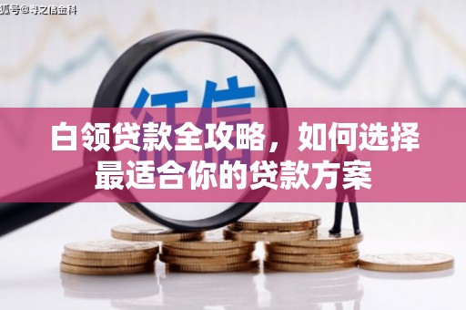 淇县白领贷款全攻略，如何选择最适合你的贷款方案