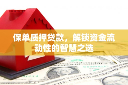 原州保单质押贷款，解锁资金流动性的智慧之选