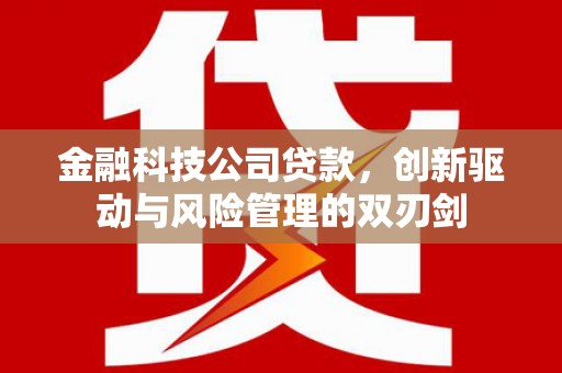 颍泉金融科技公司贷款，创新驱动与风险管理的双刃剑